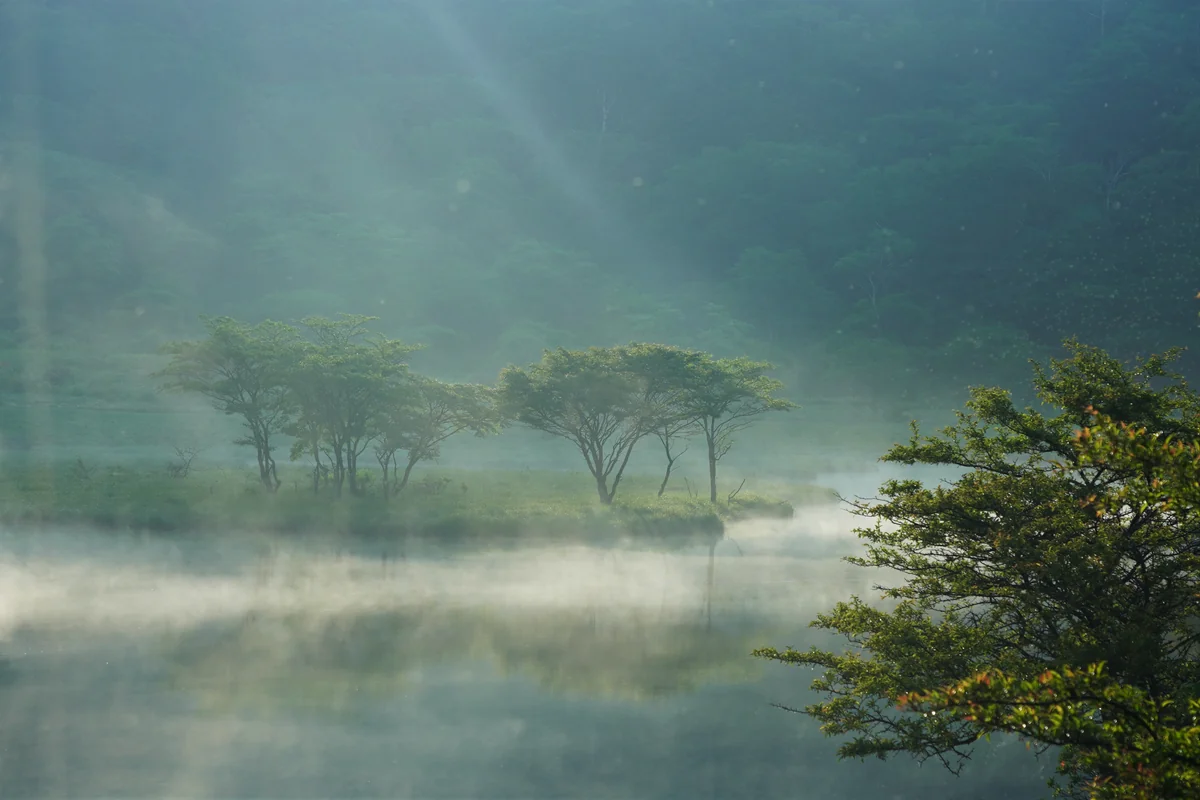 投稿写真：覚満淵