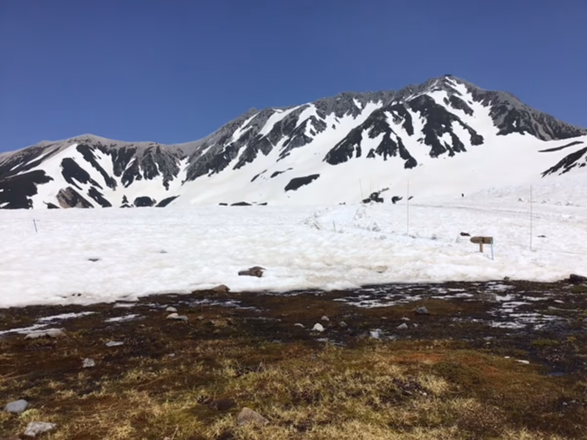 投稿写真：立山