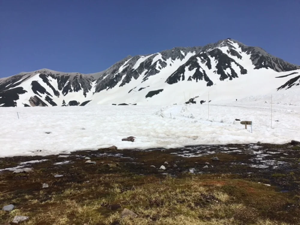 投稿写真：立山