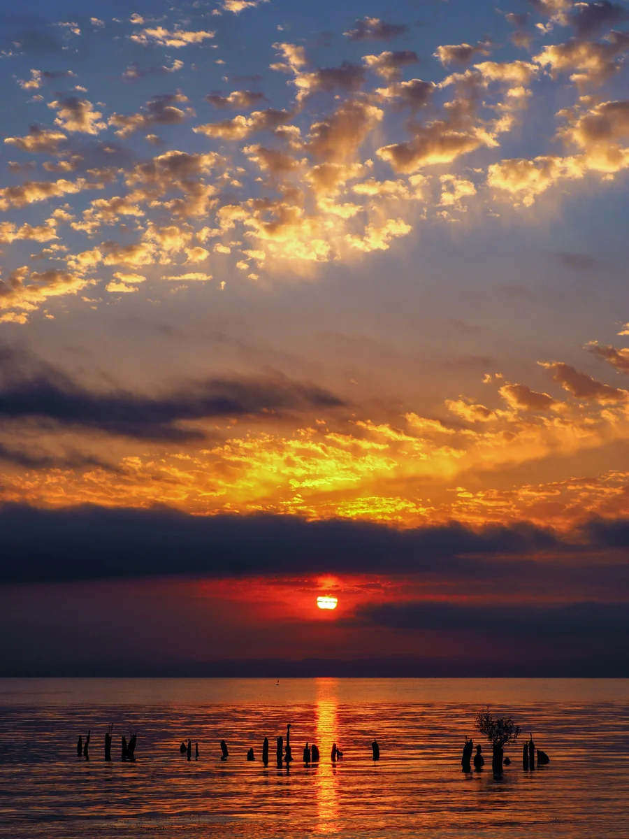 投稿写真：暁光に染まる