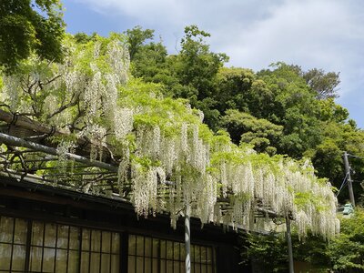  | 絶景事典
