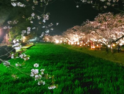  | 絶景事典