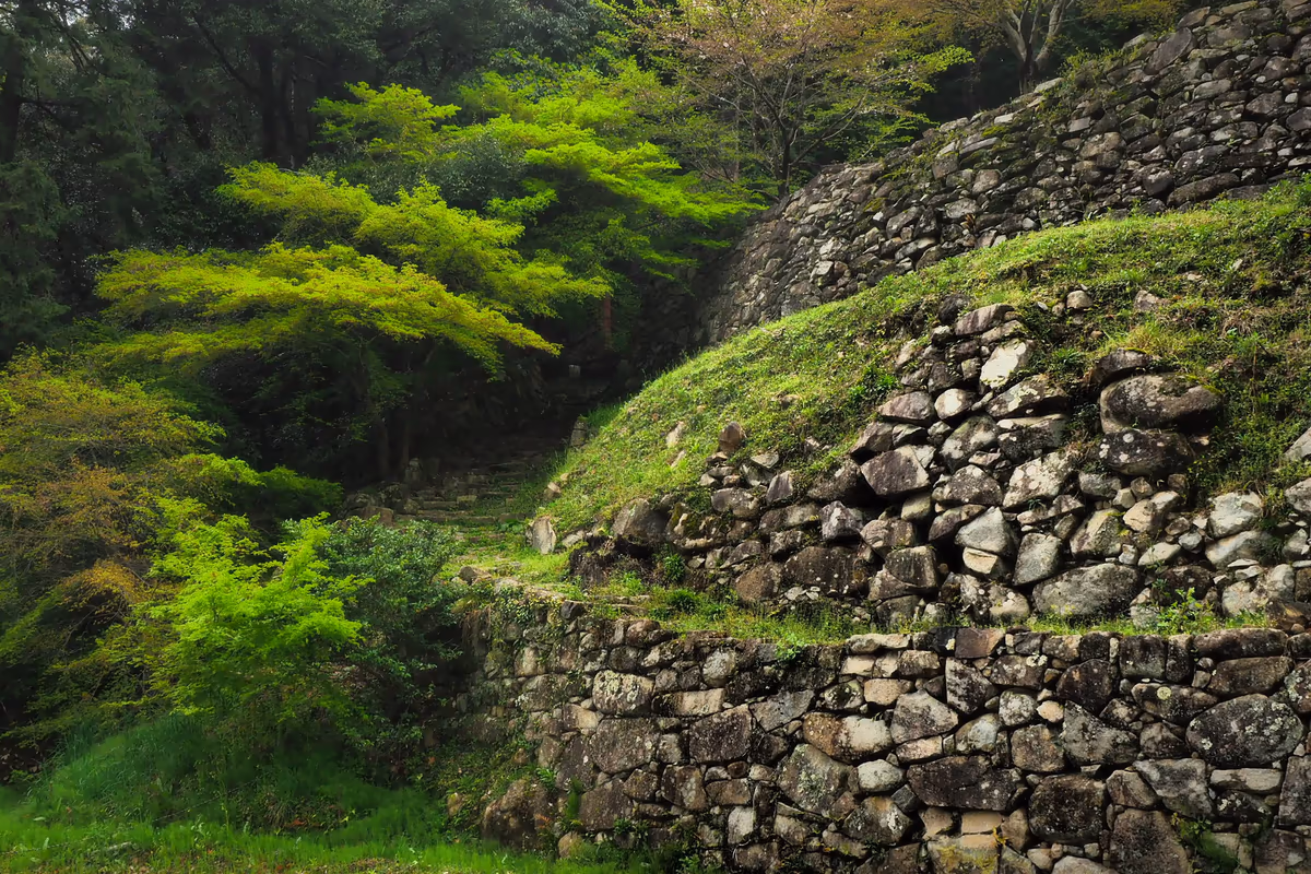 投稿写真：安土城石垣