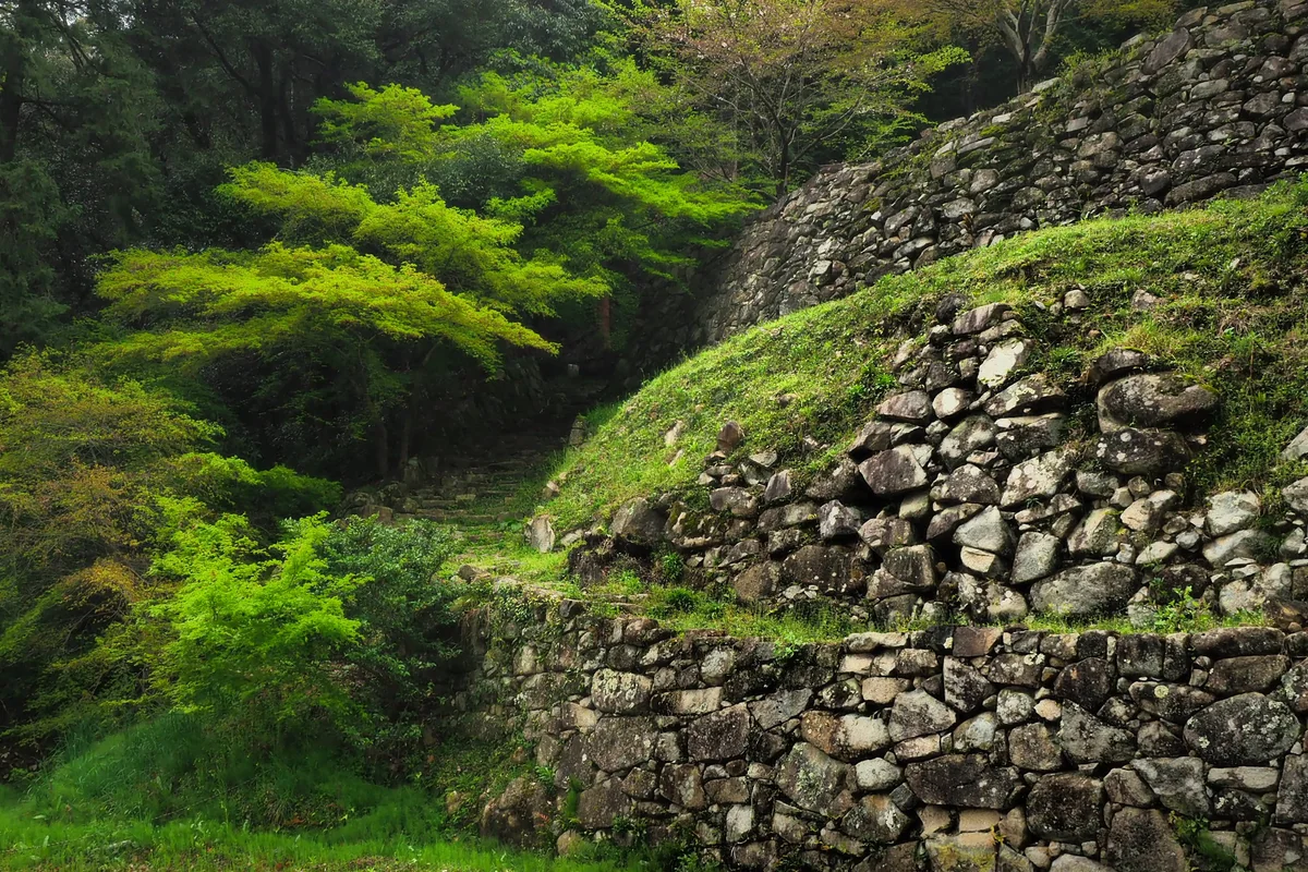 投稿写真：安土城石垣
