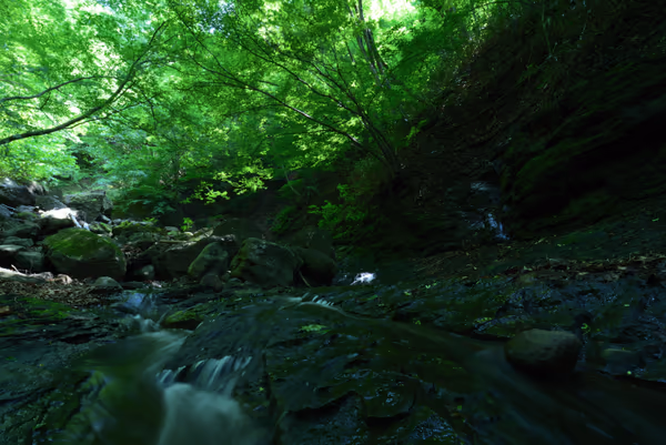 投稿：green