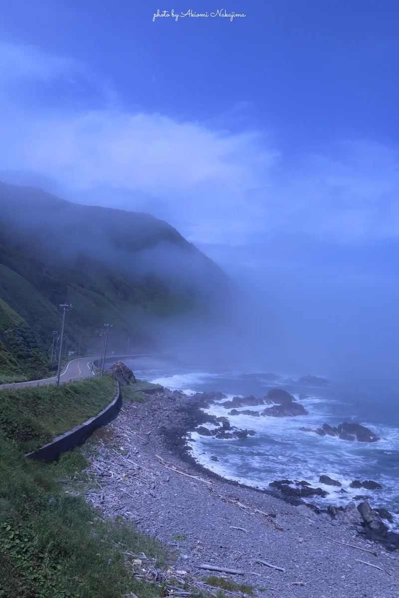 投稿写真：黄金道路