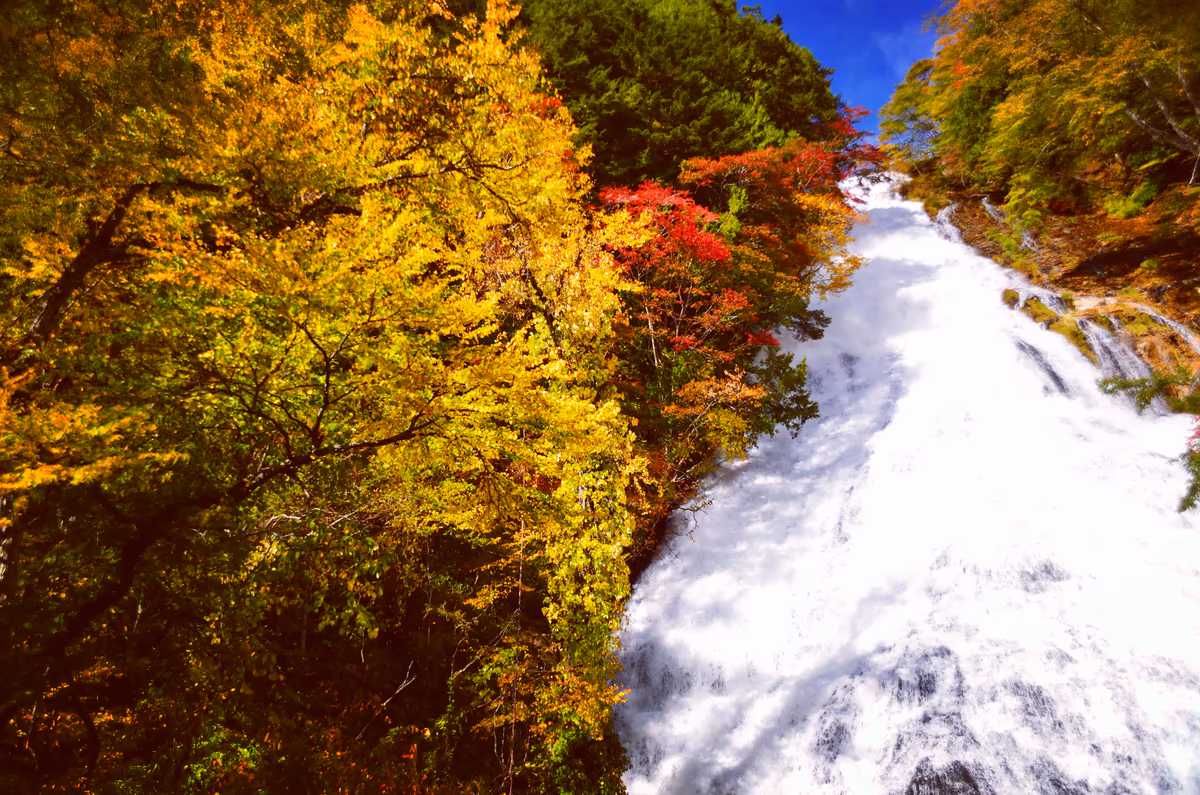 投稿写真：秋の湯滝