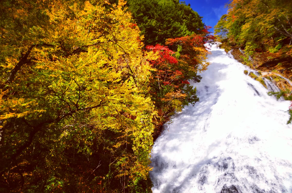投稿写真：秋の湯滝