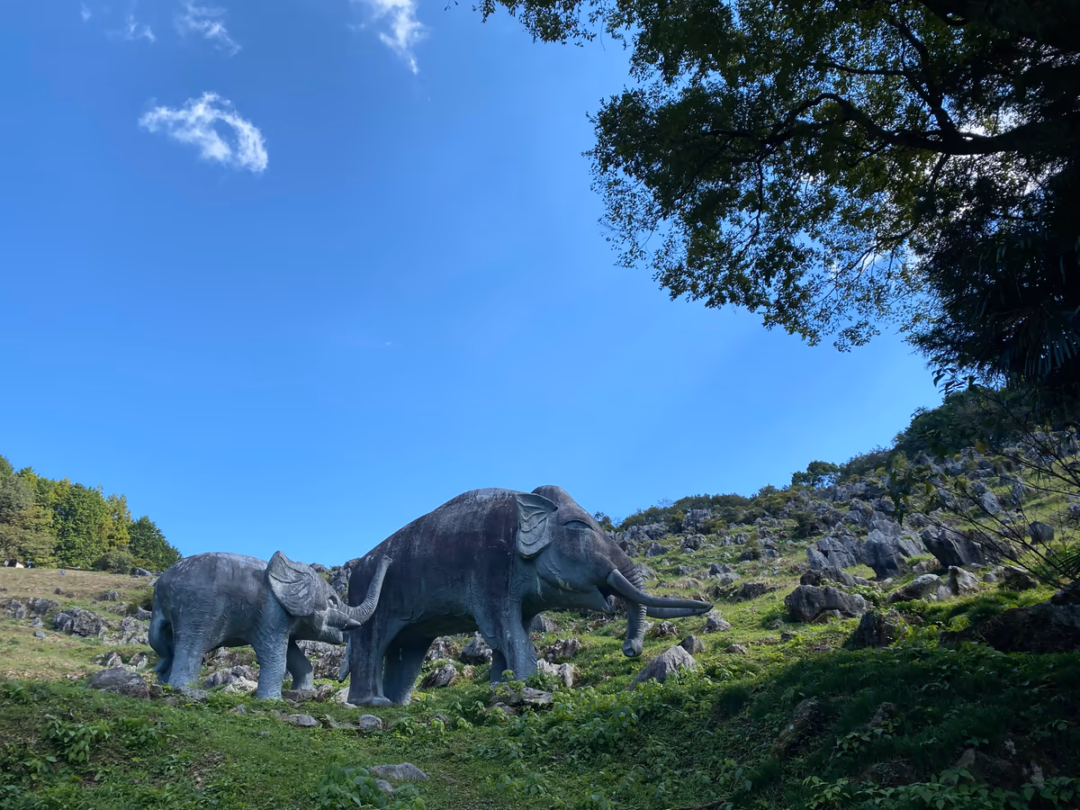投稿写真：佐川ナウマンカルスト