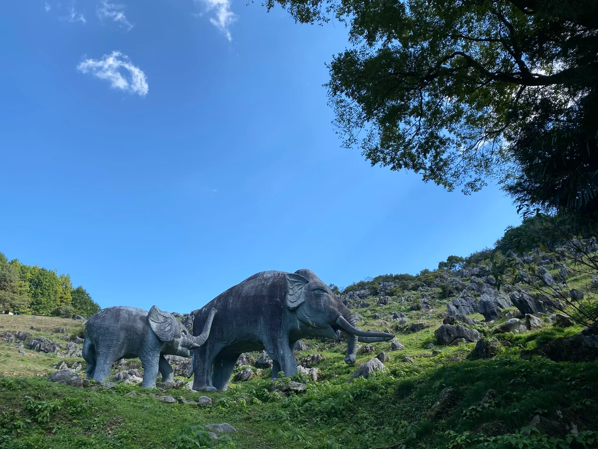 投稿写真：佐川ナウマンカルスト