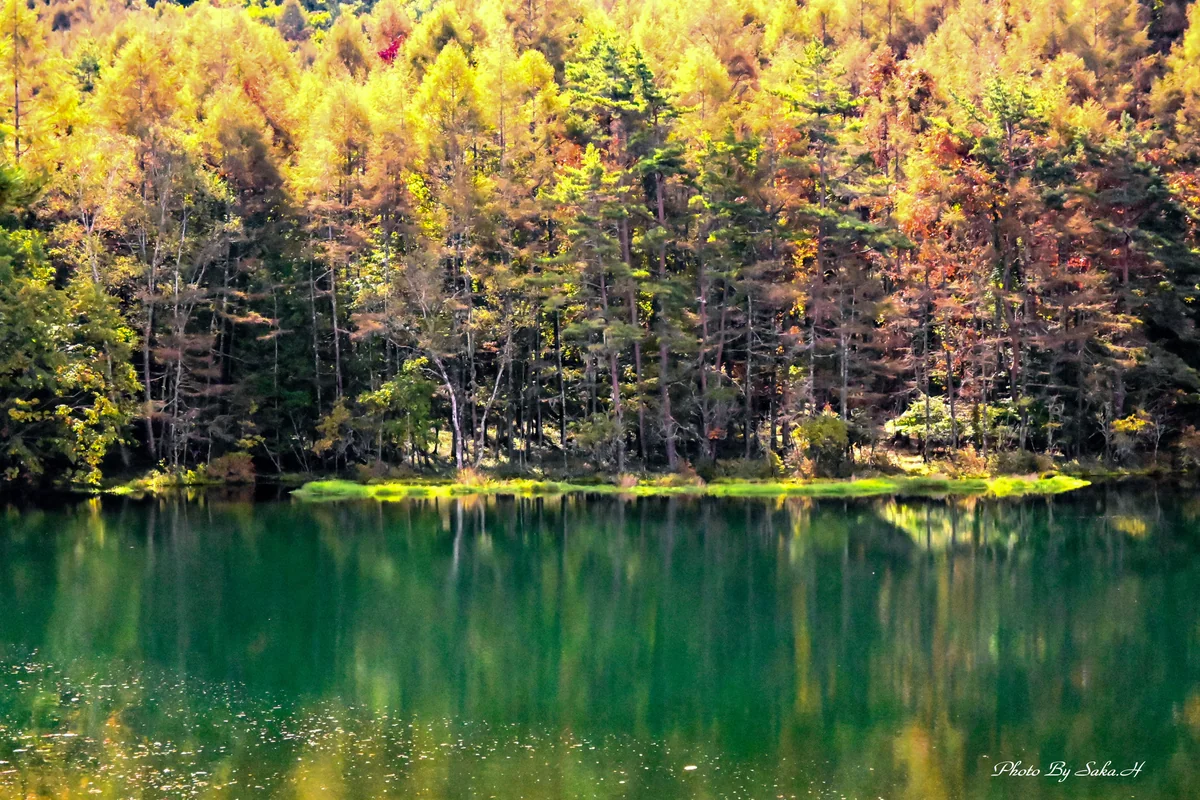 投稿写真：御射鹿池の秋