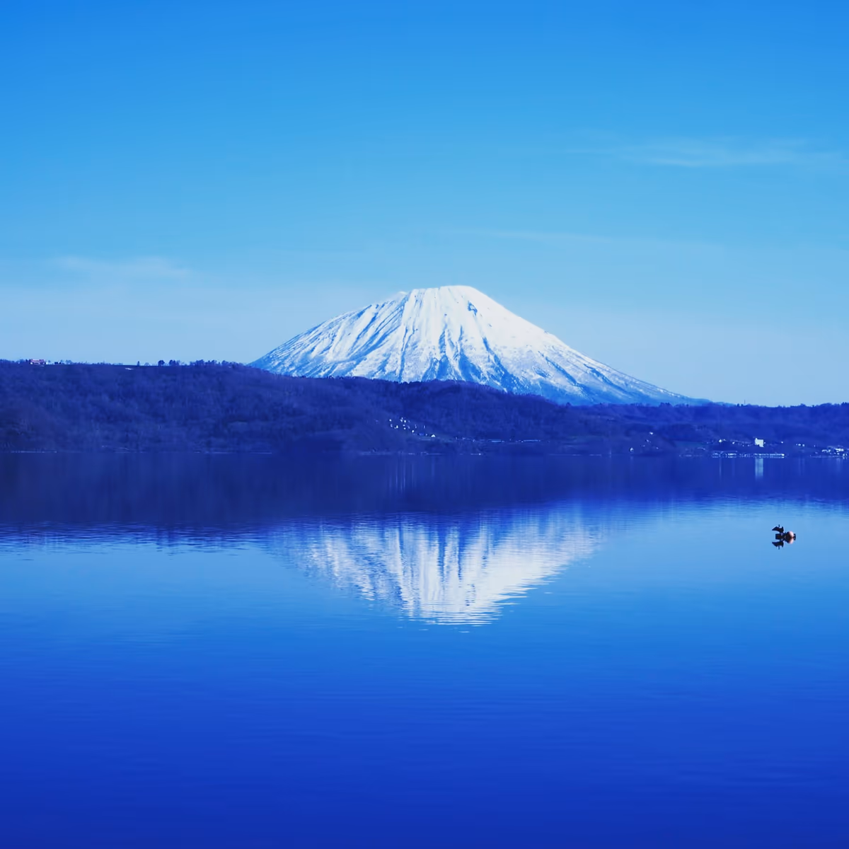 投稿写真：あお