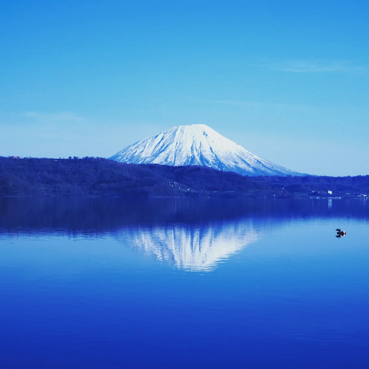 MIKI YABEさんの投稿写真