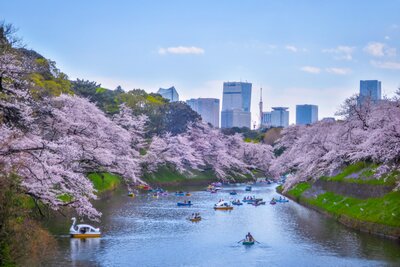  | 絶景事典