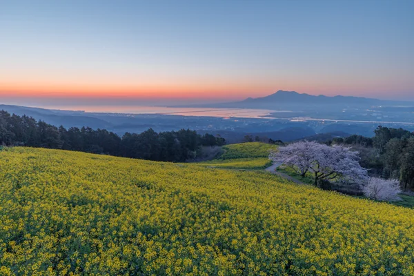 投稿：高原の夜明け