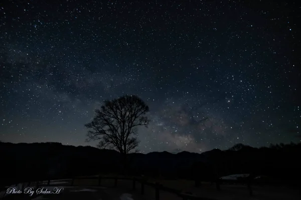 投稿：コナラの木と天の川