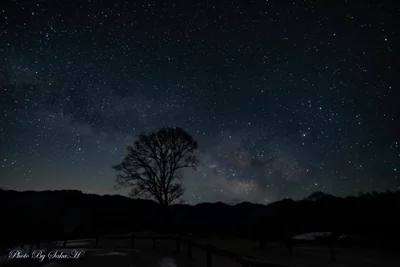 投稿：コナラの木と天の川