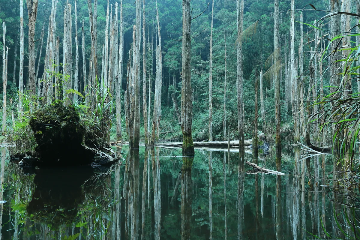 溝口 崇さんの投稿写真