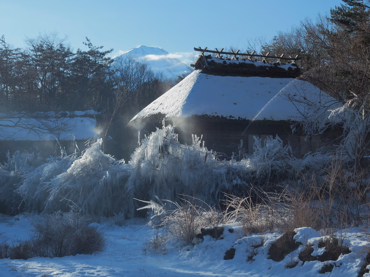 投稿写真：氷結