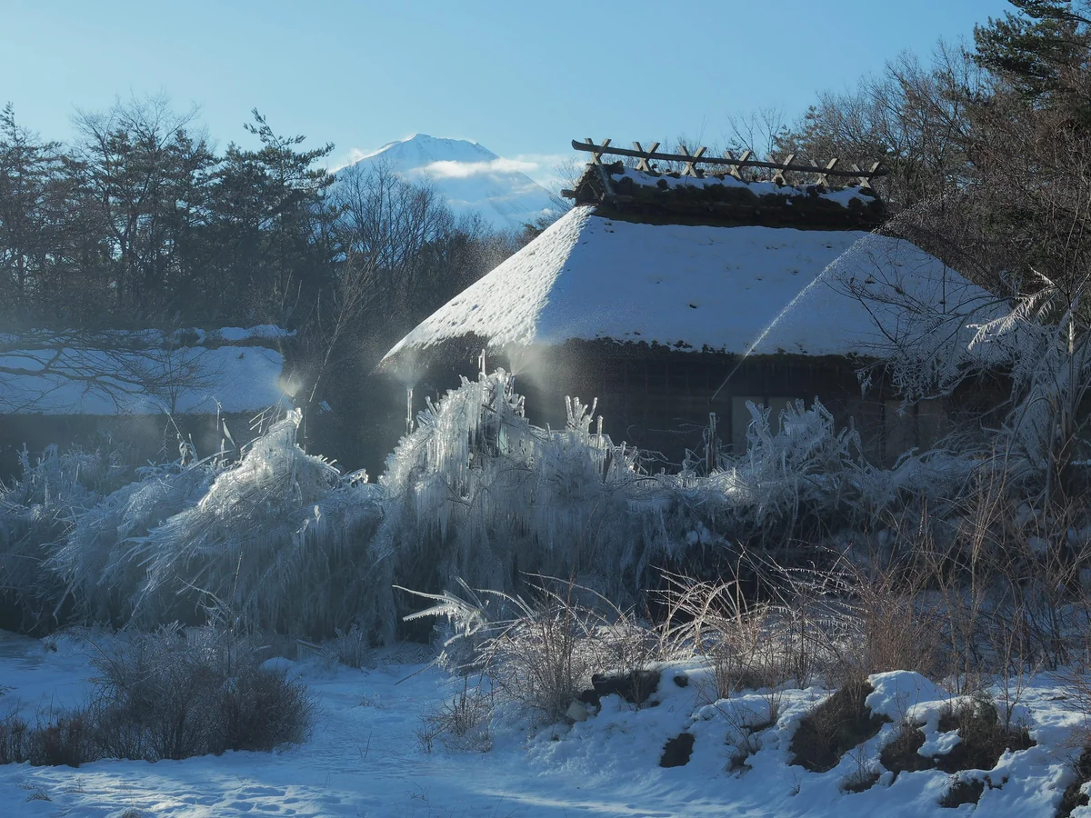 投稿写真：氷結