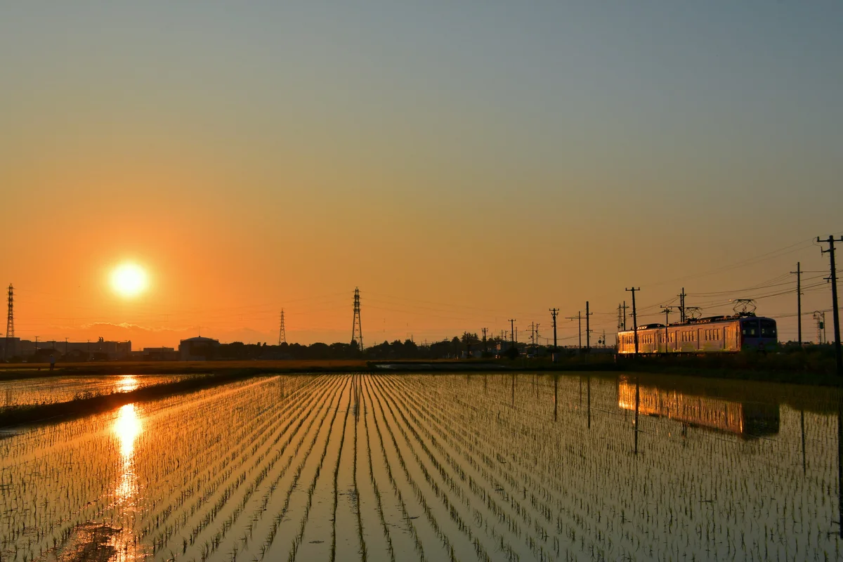 投稿写真：水田にリフレクションする夕焼けと近江鉄道多賀線