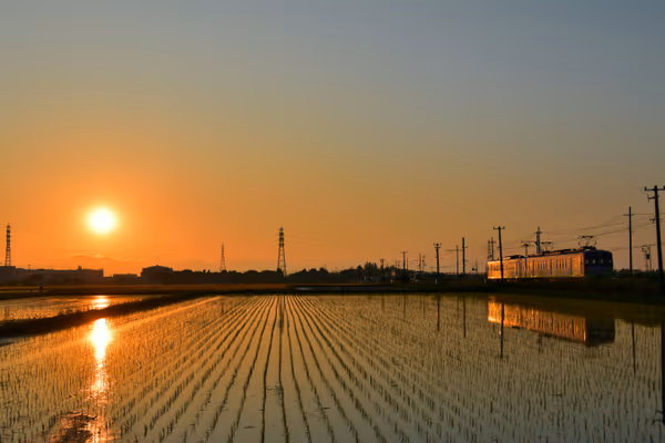 投稿：水田にリフレクションする夕焼けと近江鉄道多賀線