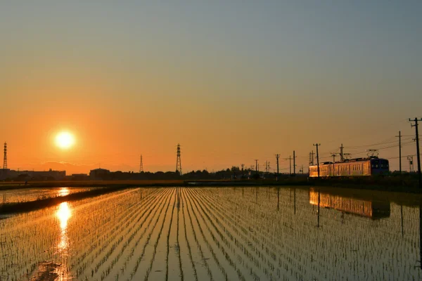 投稿：水田にリフレクションする夕焼けと近江鉄道多賀線