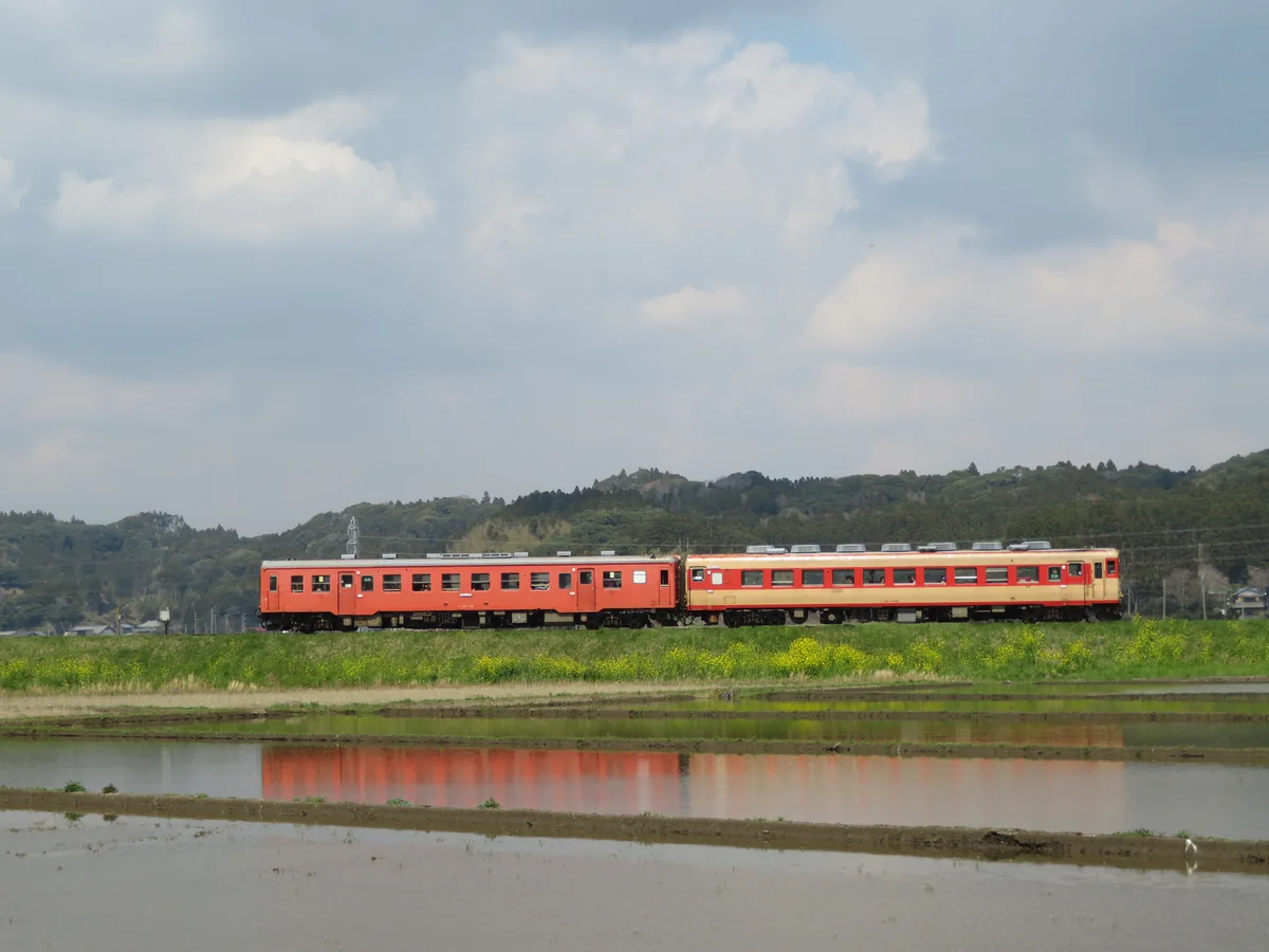 投稿写真：『田園を走る急行そと房』／第二五之町踏切付近