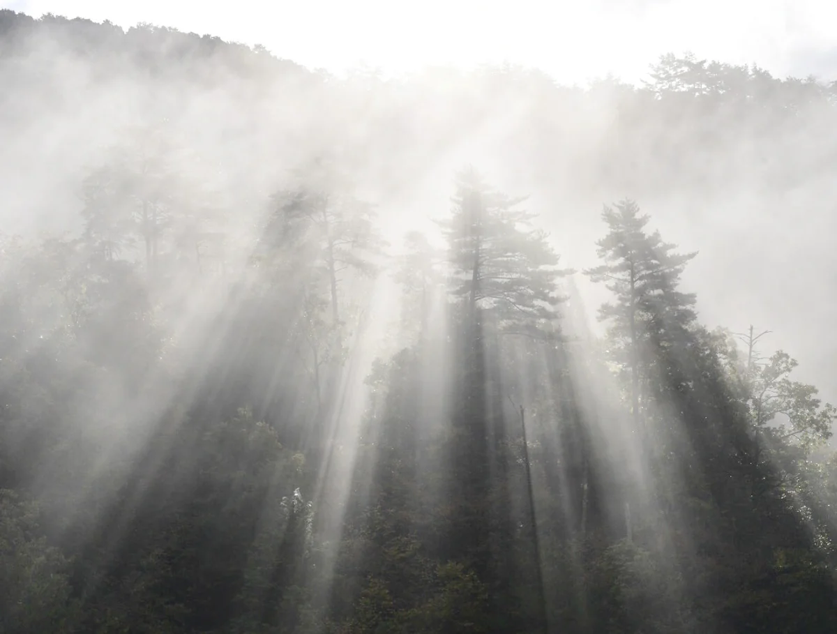 投稿写真：御加護