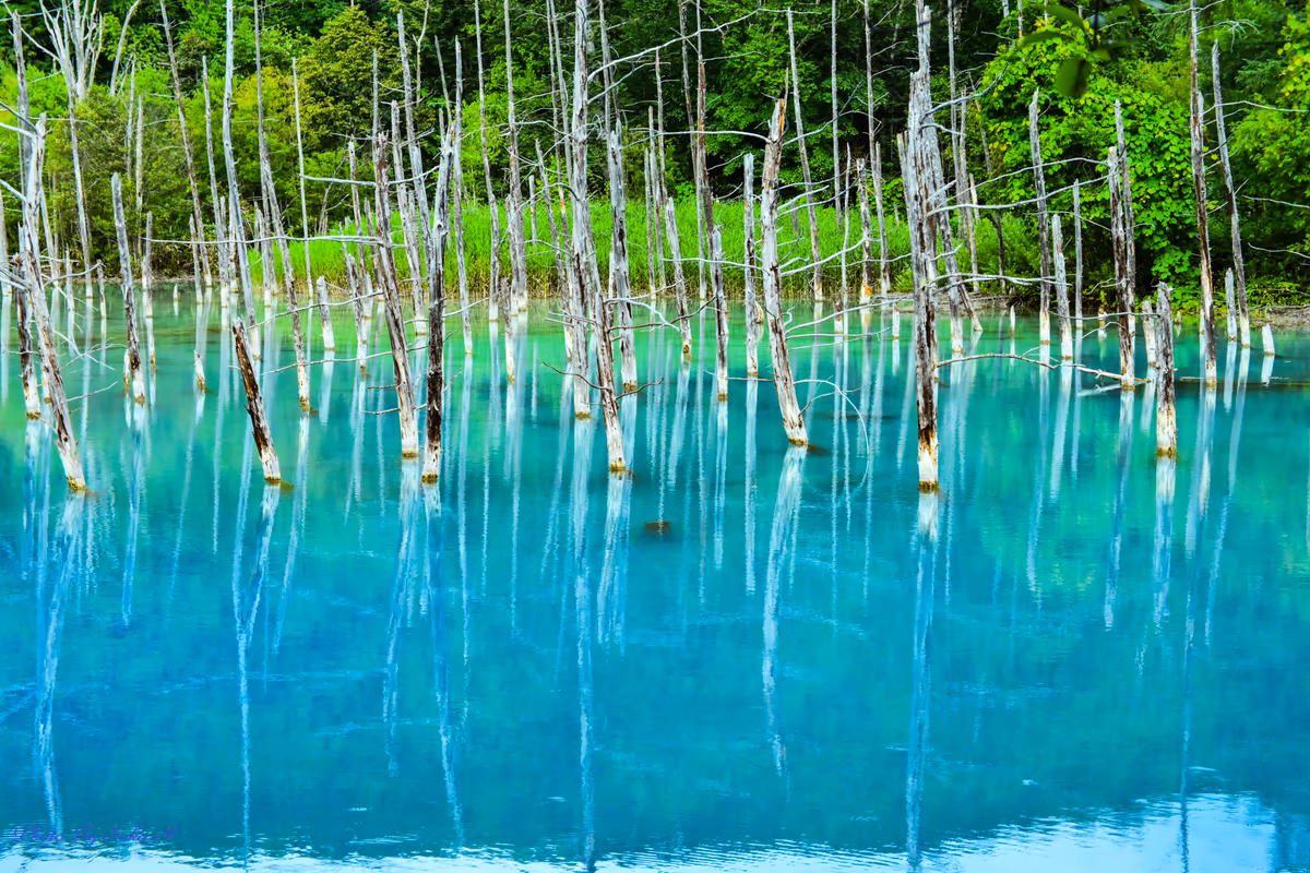 投稿写真：青い池