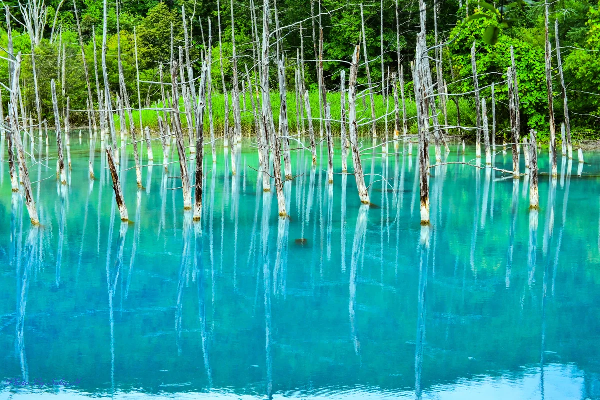 投稿写真：青い池