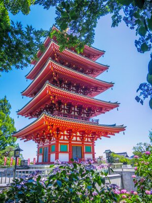  | 絶景事典