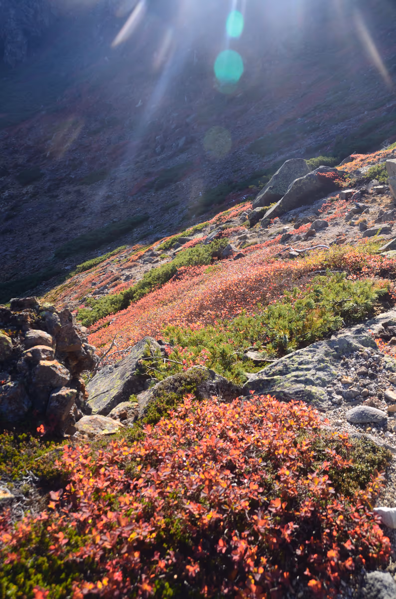 投稿写真：草津白根山から