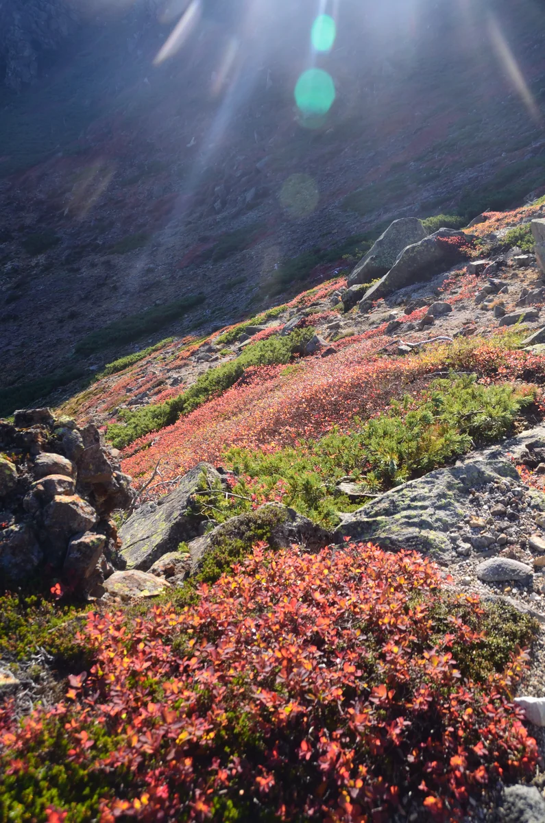 投稿写真：草津白根山から