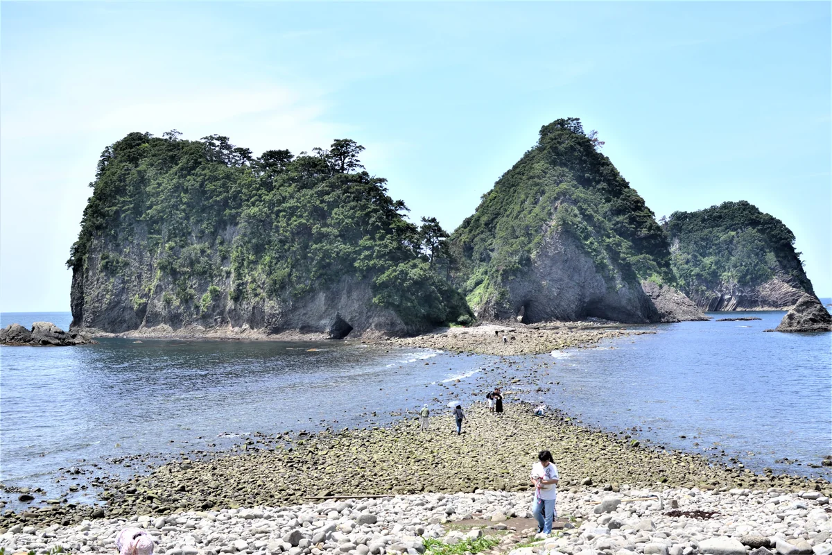 野人さんの投稿写真