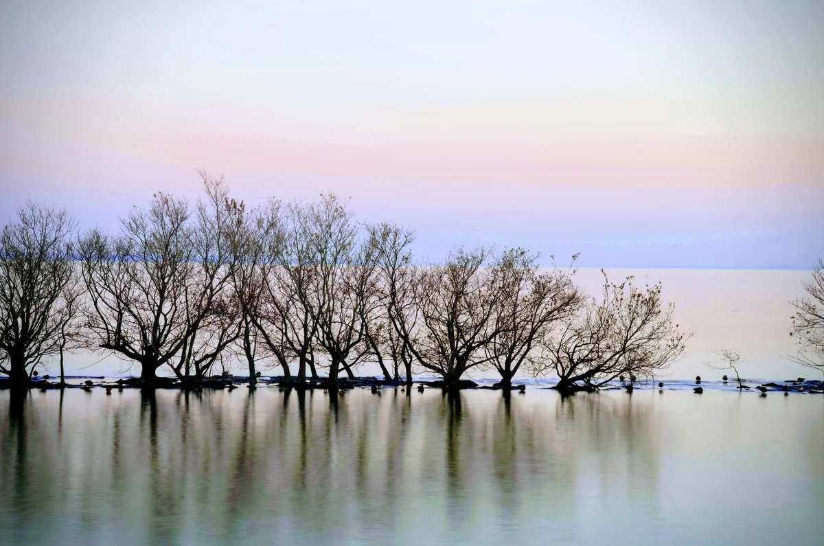 投稿写真：霞ヶ浦　夕景