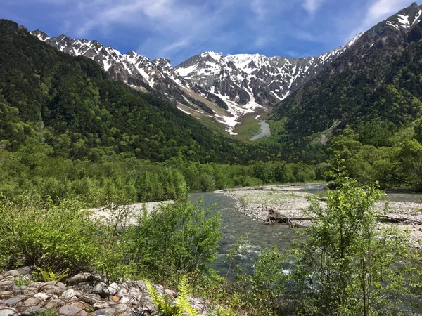 投稿：初夏の上高地
