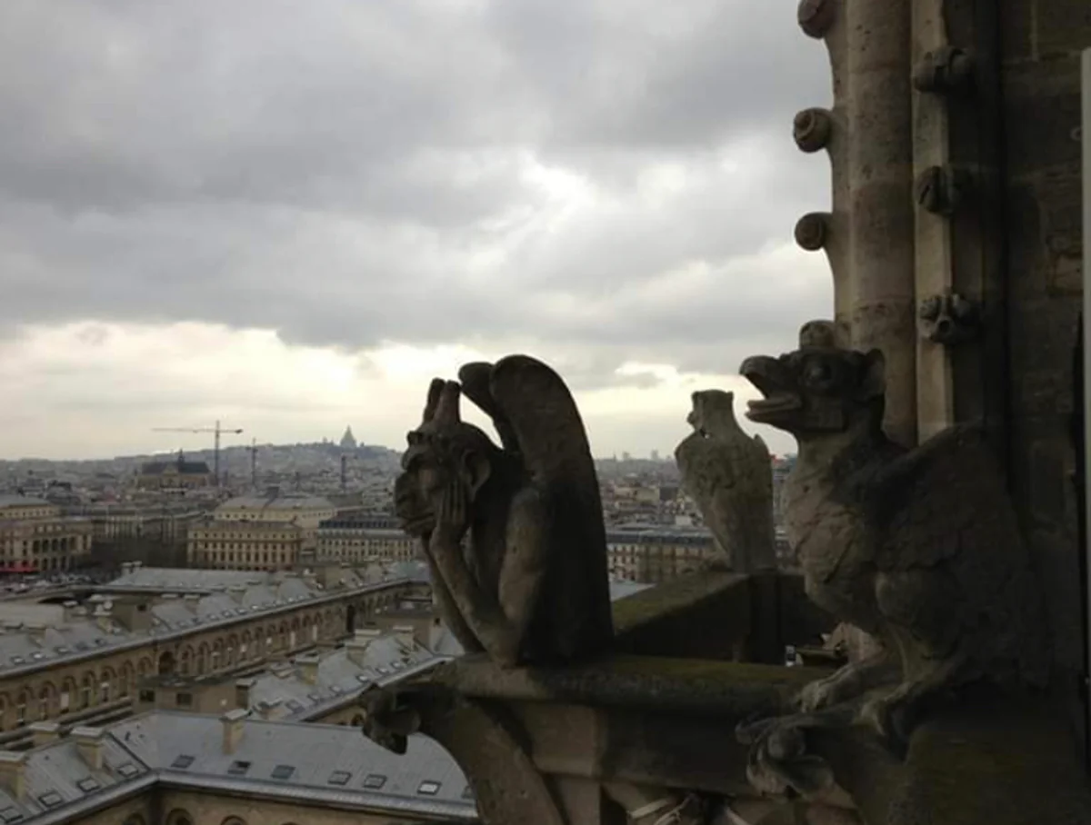 投稿写真：ノートルダムのガーゴイルたち