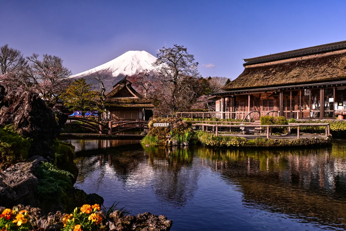 投稿写真：忍野八海