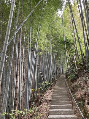  | 絶景事典