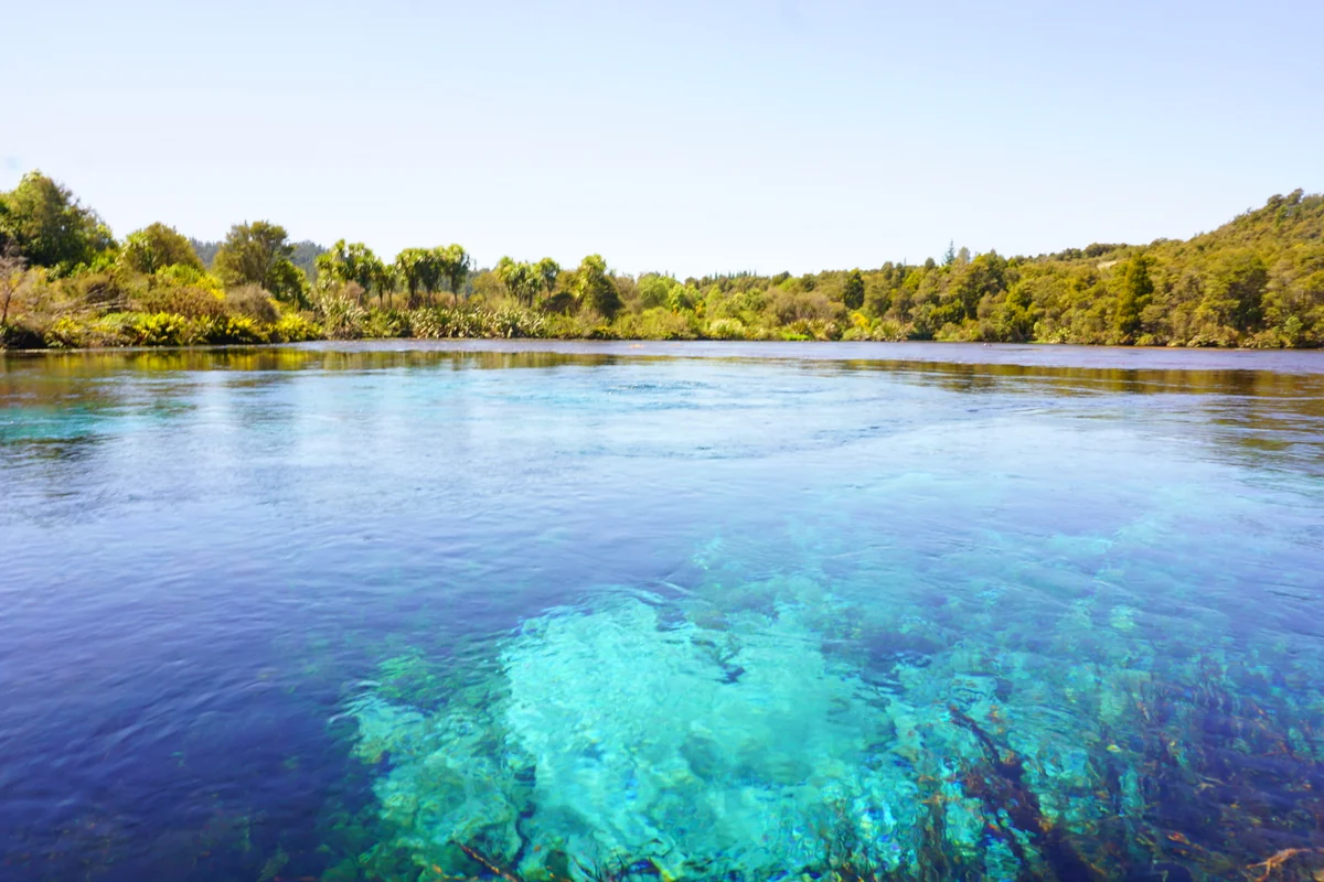 投稿写真：Pupu Springs