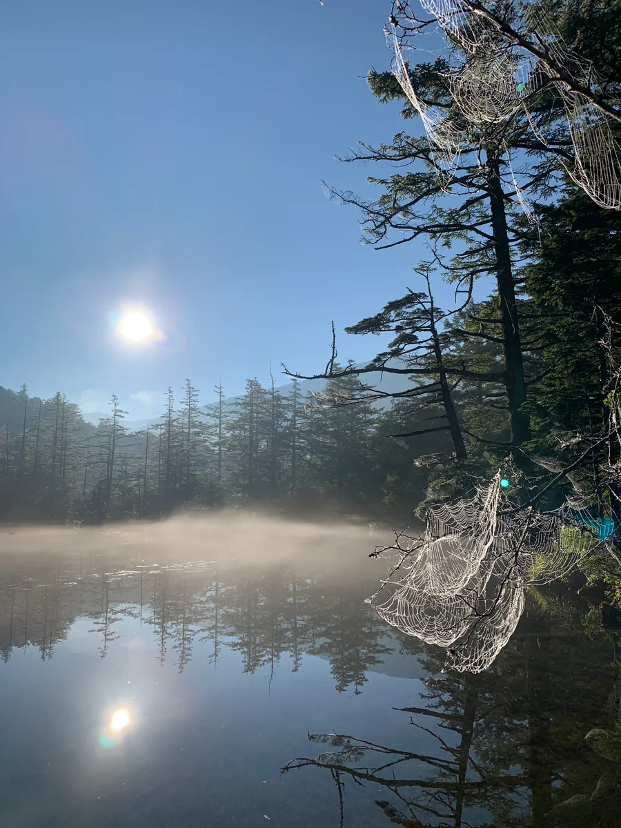 投稿写真：雨上がり、朝もやの明神池