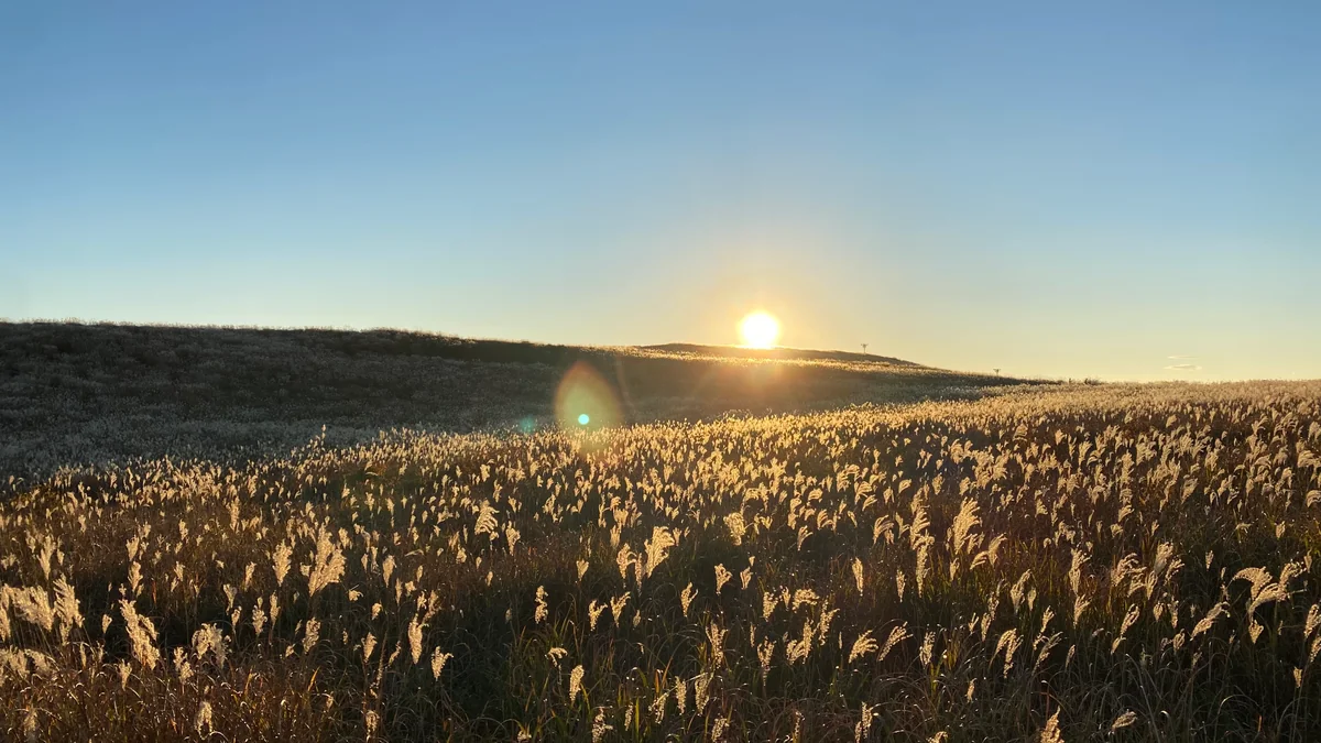 投稿写真：霧ヶ峰夕景