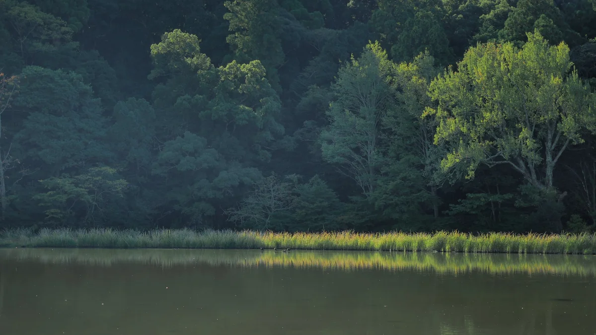 投稿写真：伊勢神宮外宮勾玉池