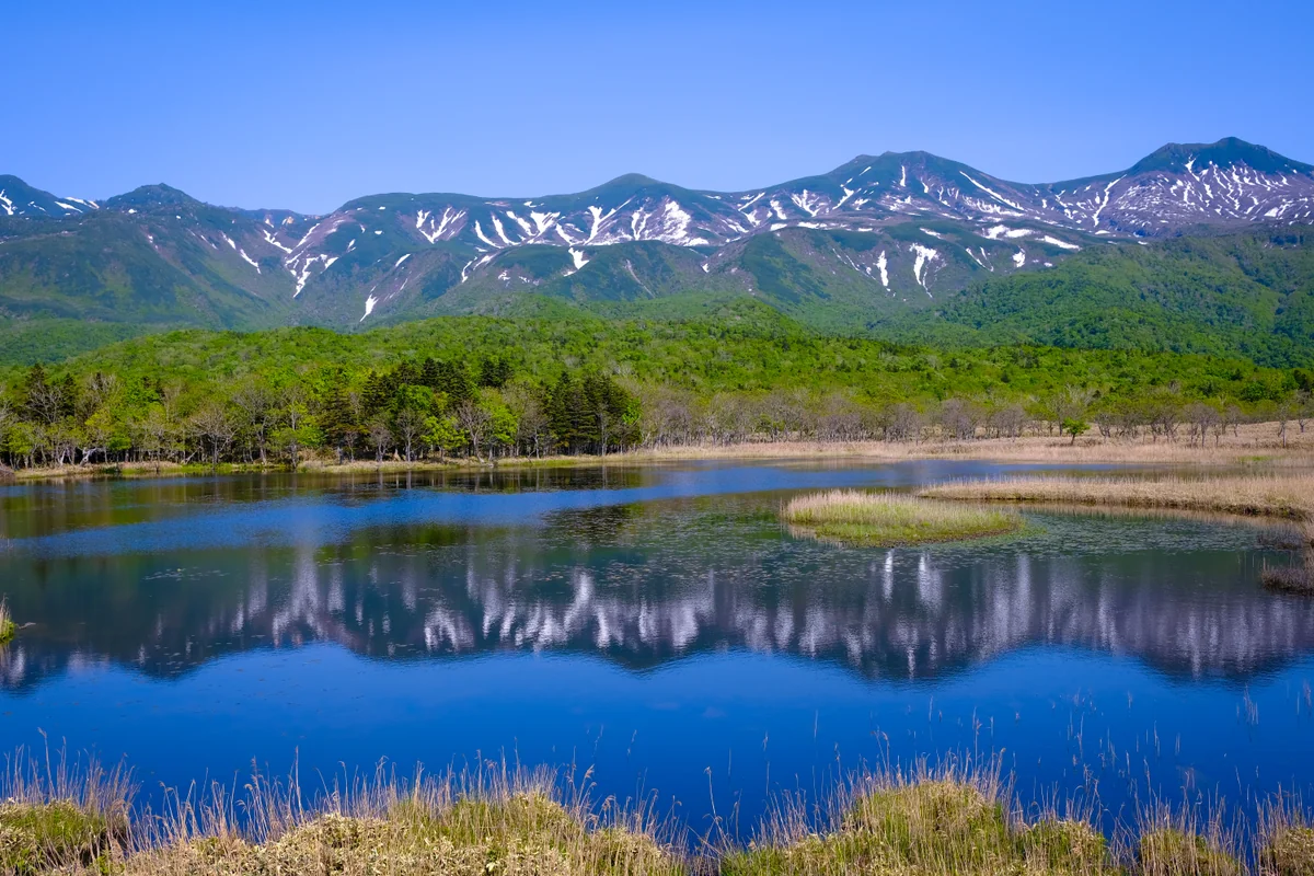 投稿写真：春の訪れ