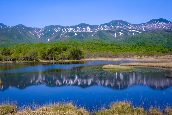 投稿：春の訪れ