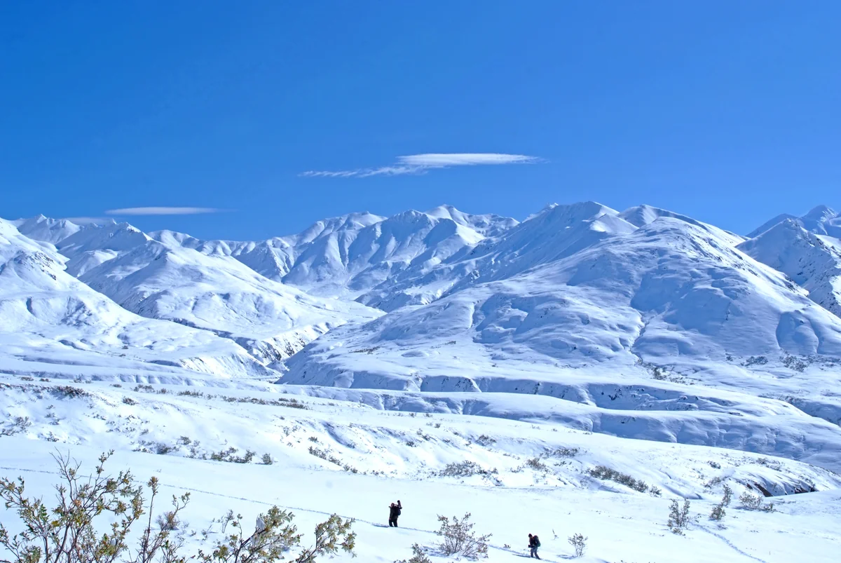 投稿写真：8月末の大雪で