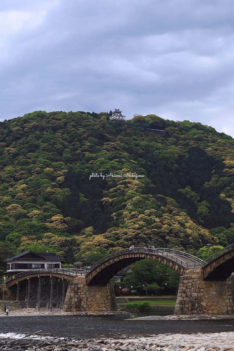 投稿写真：錦帯橋