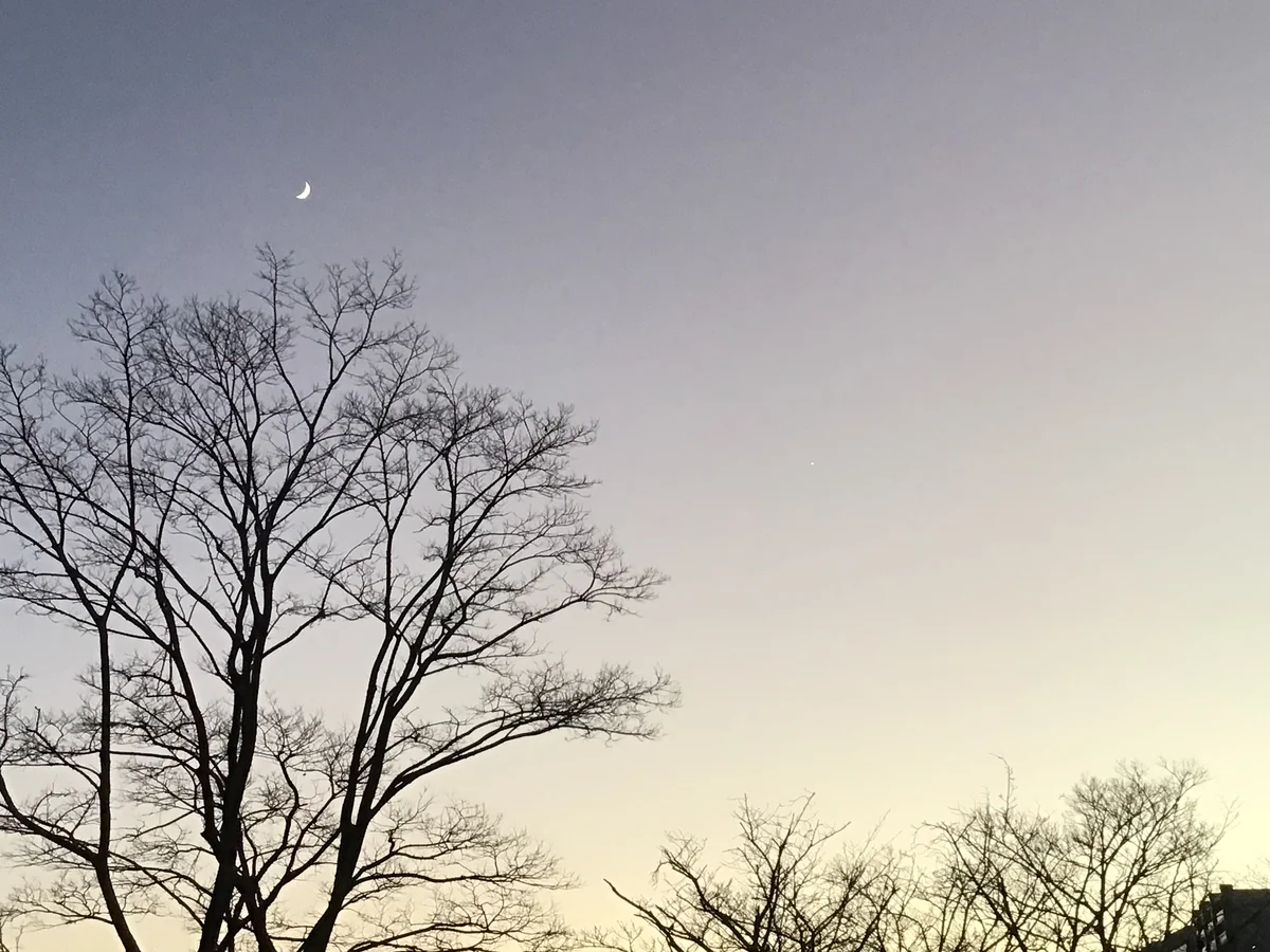 投稿写真：夕景