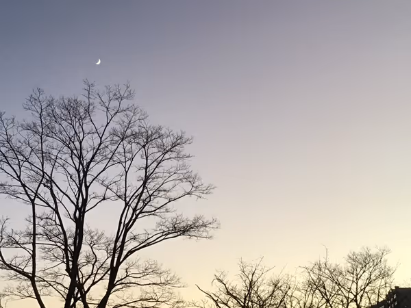 投稿：夕景